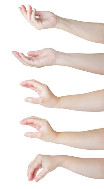 istock Woman hand gesture holding something set isolated on white background 2164523098