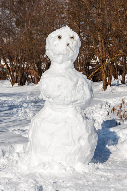 istock A large carelessly assembled snowman against a background of trees 2164523706
