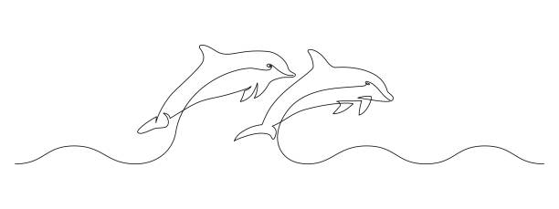 One continuous line drawing of couple of dolphin. Sea animal in wildlife in simple linear style. Summer concept in Editable stroke. Doodle outline vector illustration One continuous line drawing of couple of dolphin. Sea animal in wildlife in simple linear style. Summer concept in Editable stroke. Doodle outline vector illustration. drawing of fish jumping out water stock illustrations