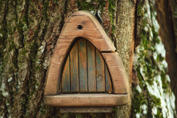 istock Small triangular wooden door embedded in a tree trunk. Rustic and fantasy concept for design and print. 2164536293