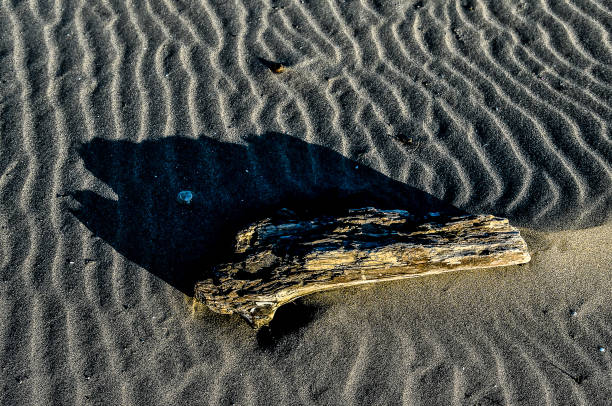 A log is laying on the sand, casting a shadow. The image has a calm and peaceful mood, as the log and its shadow are the only objects visible
