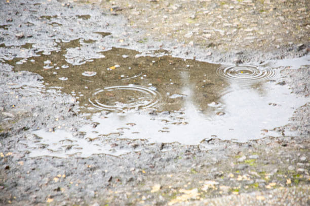 istock Pool of water with sky reflection 2164540298