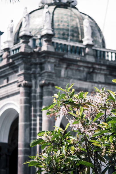 istock Historic Dome and Blossoming Tree in Quito 2164543628