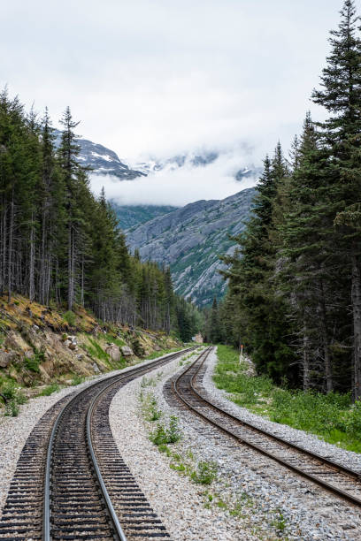 istock Narrow Gauge Train Tracks in Skagway 2164544763