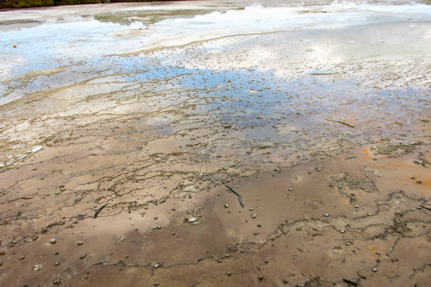 istock Waiotapu Thermal Wonderland 2164546524