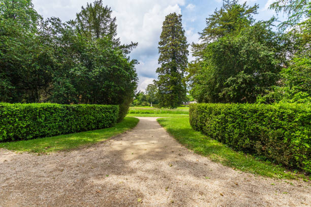 istock Peaceful Pathway through Lush Gardens at Chateau de Fontainebleau 2164551396