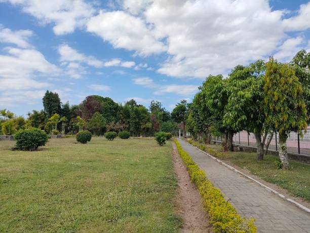 istock path in the middle of the park 2164559255