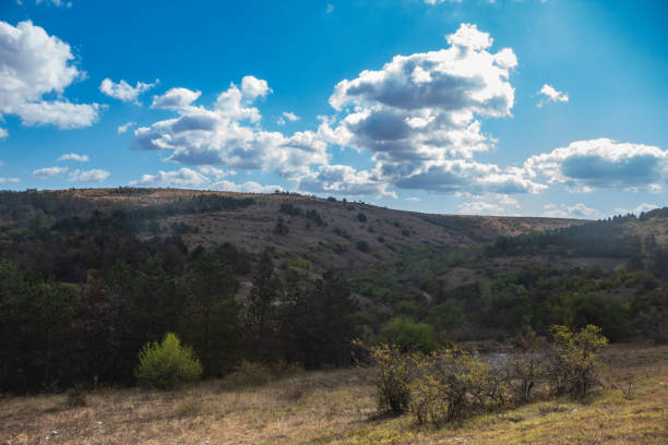 Landscapes - Macro  - Forest - Europe, Romania