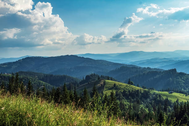 istock Landscapes - Forest - Europe, Romania 2164560002