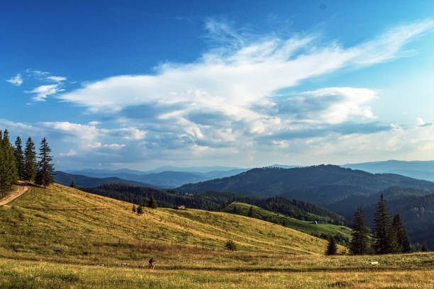 istock Landscapes - Forest - Europe, Romania 2164560095