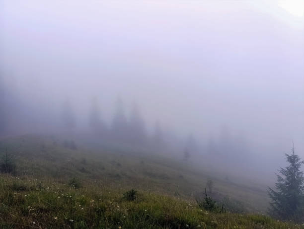istock Landscapes - Forest - Europe, Romania 2164560316
