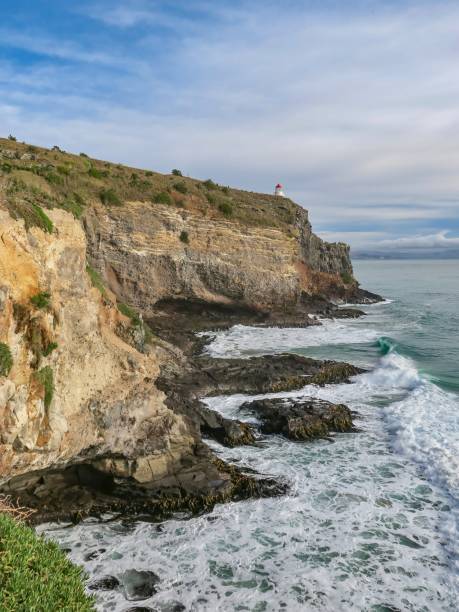 istock The Tip of the Otago Peninsula 2164561062