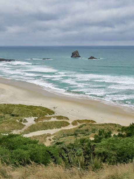 istock The Pristine Sandfly Bay in the Otago Peninsula 2164561679