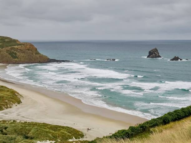 istock The Pristine Sandfly Bay in the Otago Peninsula 2164561728