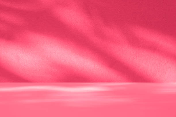 istock Studio style background wall decoration presentation uses white and pink tones. with shadows cast from a nearby window, concept creating a decorative backdrop. 2164562789