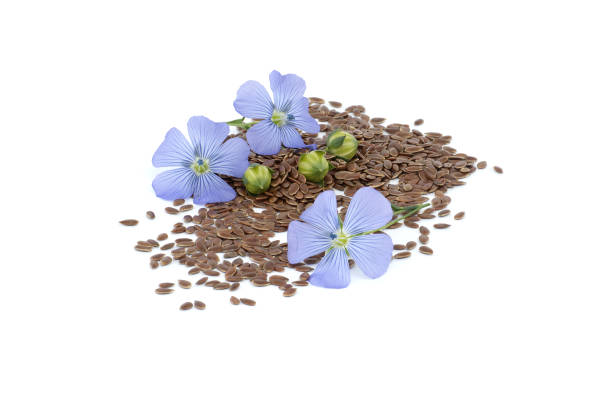 istock Blue flax blossom and seeds over white background 2164563955