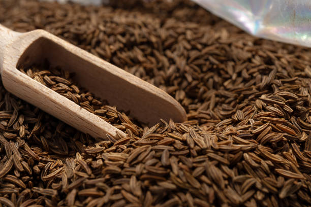 dry cumin seeds in a measuring spoon