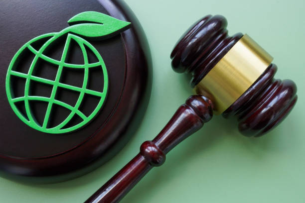 Environmental law concept. Gavel and abstract green planet with leaf.