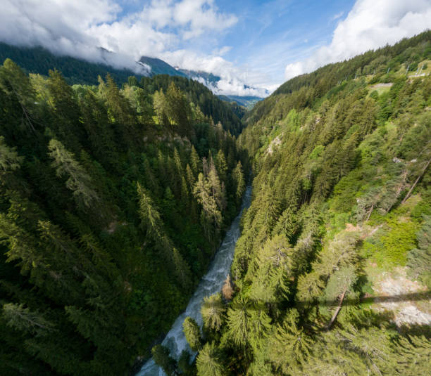 istock Aerial View of Dense Forest and River in Mountain Valley 2164567314