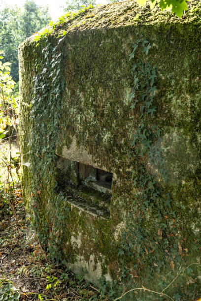 istock WW2 defence line Surrey England 2164569234