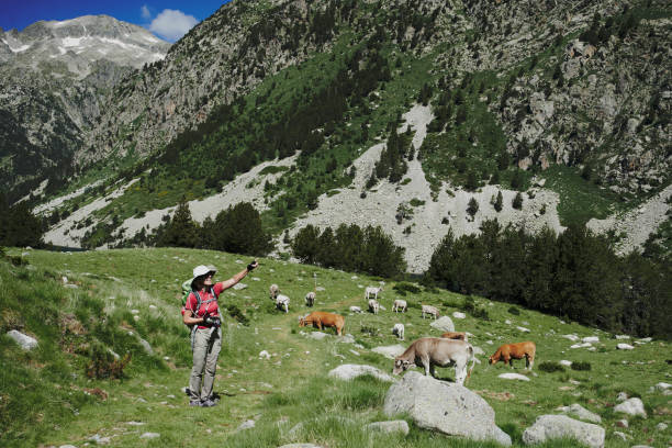 istock Senior hiking in the high mountains 2164570799