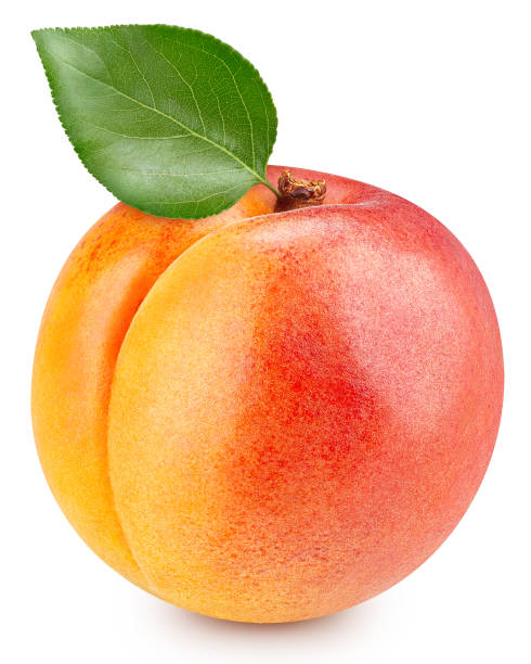 istock Fresh apricot isolated on white background 2164574898