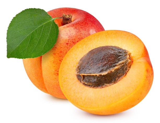 istock Fresh apricot isolated on white background 2164576082