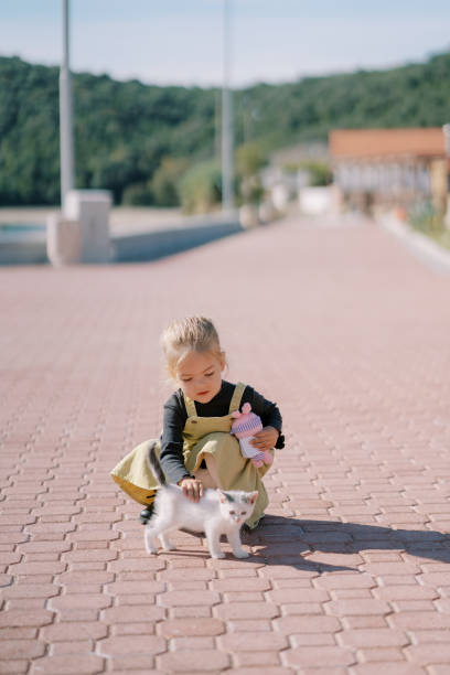 Little girl petting a kitten while squatting on a paved path in a green park. High quality photo