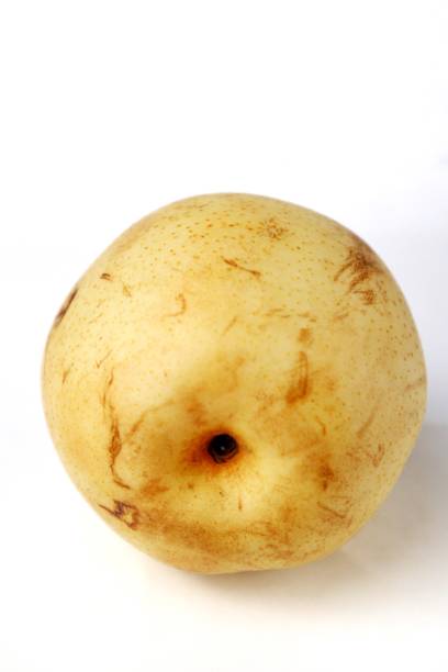 Rotten pears infected with viruses