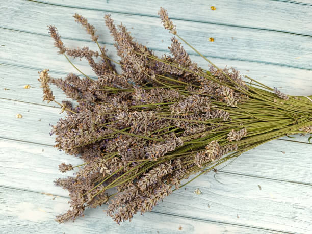 istock bouquet of lavender on a table, close-up 2164585840
