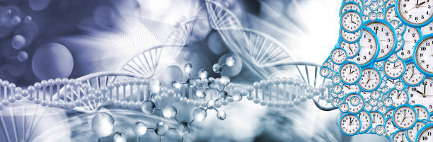istock The Unfolding Symphony of Time and DNA 2164587216