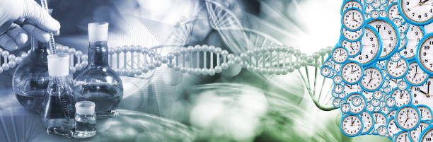 istock The Winding Path of Time and Genetic Discovery 2164587227