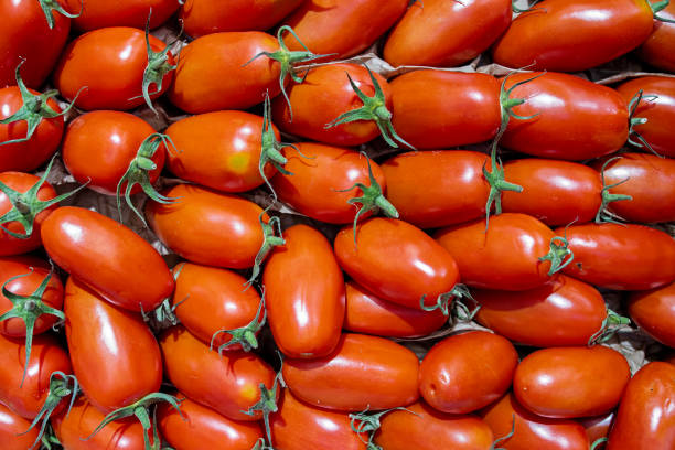 istock Pelati, or peeled tomatoes in a row. 2164587600