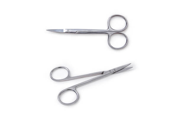 istock A pair of small metal silver scissors isolated on white background 2164589838