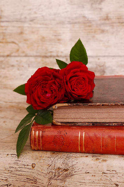 istock roses on their old books 2164590569