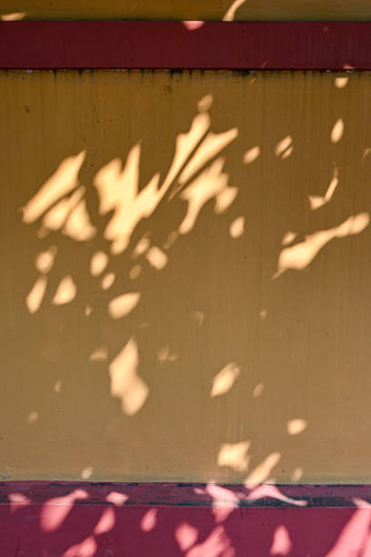istock A wall with a red and yellow stripe and a shadow of a tree on it 2164591782