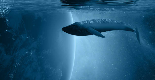 Earth : https://earthobservatory.nasa.gov/ContentFeature/NightLights/images/media/BlackMarble_2016_Americas_composite.pngStars  : https://esahubble.org/images/heic0910t/World oceans day concept with whale - Planet earth underwater with a beautiful outher space  \
