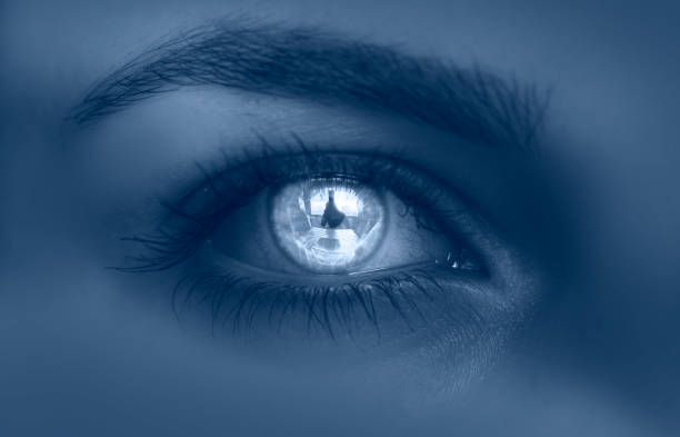 istock Beautiful girl eye with blue make-up 2164597969