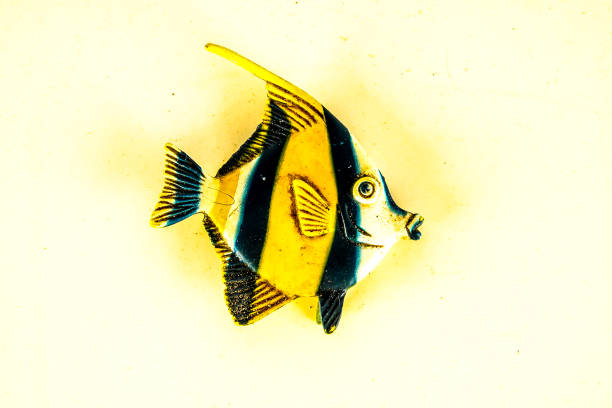 istock A small fish with a yellow and black stripe on its body 2164602539