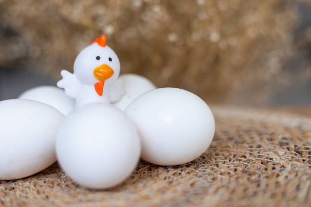 Toy chiken with white real eggs, Easter card, beige straw blurred background