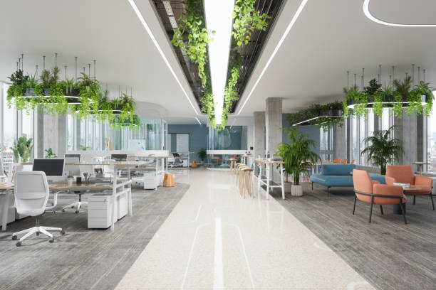 istock Eco-Friendly Modern Office Space With Creeper Plants, Office Chairs, Desks And Waiting Area 2164605803