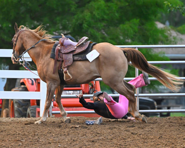 Off the horse & On the Ground