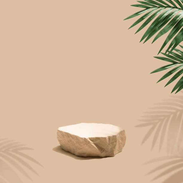 istock Selective focus.sandstone top product display platform in tropical design with shadow palm leaf 2164614475