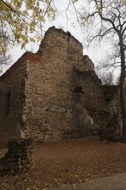 istock Old ruins in the park 2164618916