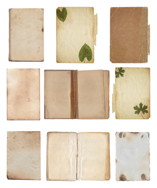 istock Vintage background of old ancient torn paper texture isolated 2164626296