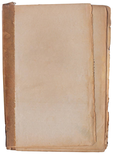 istock Vintage background of old ancient torn paper texture isolated 2164626358