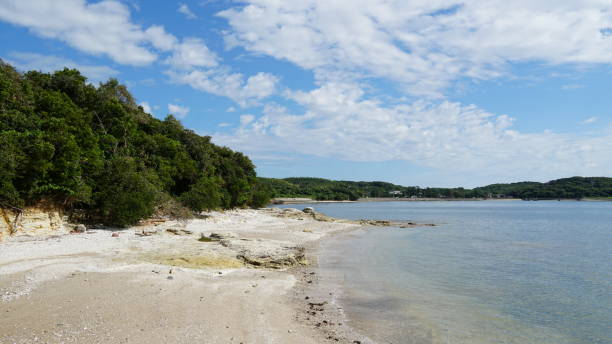 istock Saku Island, Aichi, Japan 2164626839