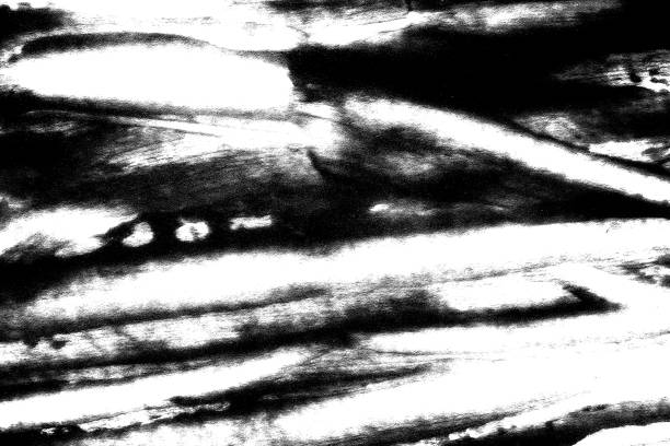 istock Abstract grunge black and white distressed texture background 2164629186