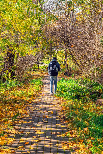 istock Autumn Wanderer: Man with Backpack Trekking in the Forest 2164629689
