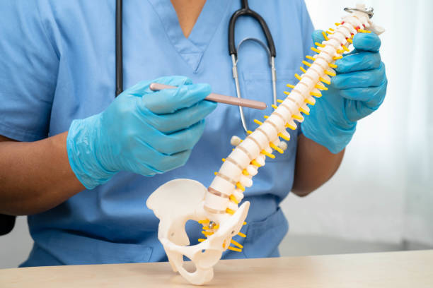 istock Doctor holding lumbar vertebrae spine skeleton bone and spinal nerve with displaced herniated disc fragment for treatment medical in the orthopedic department. 2164634512